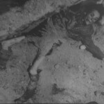 Melvin Waters Bergen-Belsen – 3