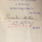 Miki Snediker’s documentation